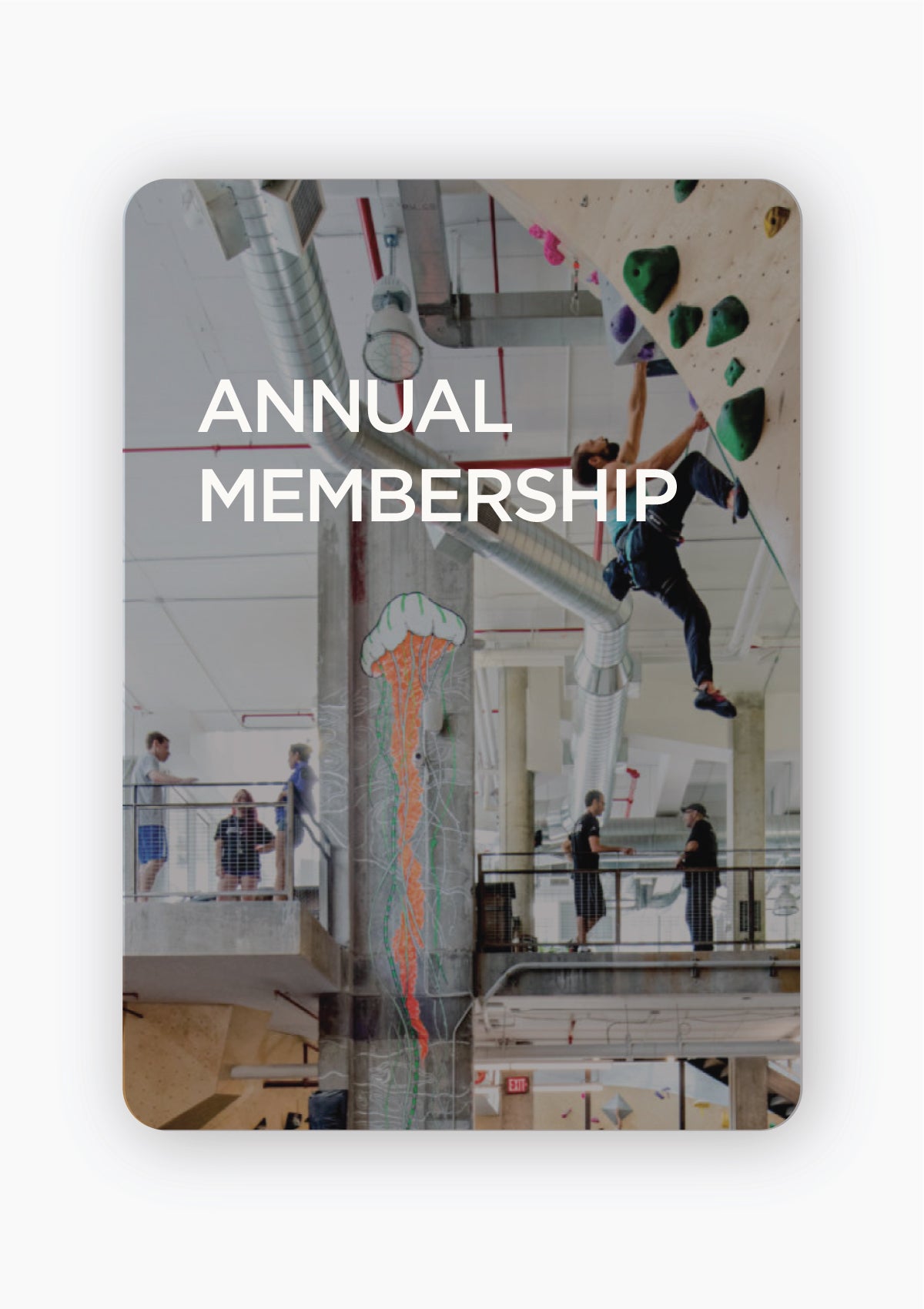 ANNUAL MEMBERSHIP