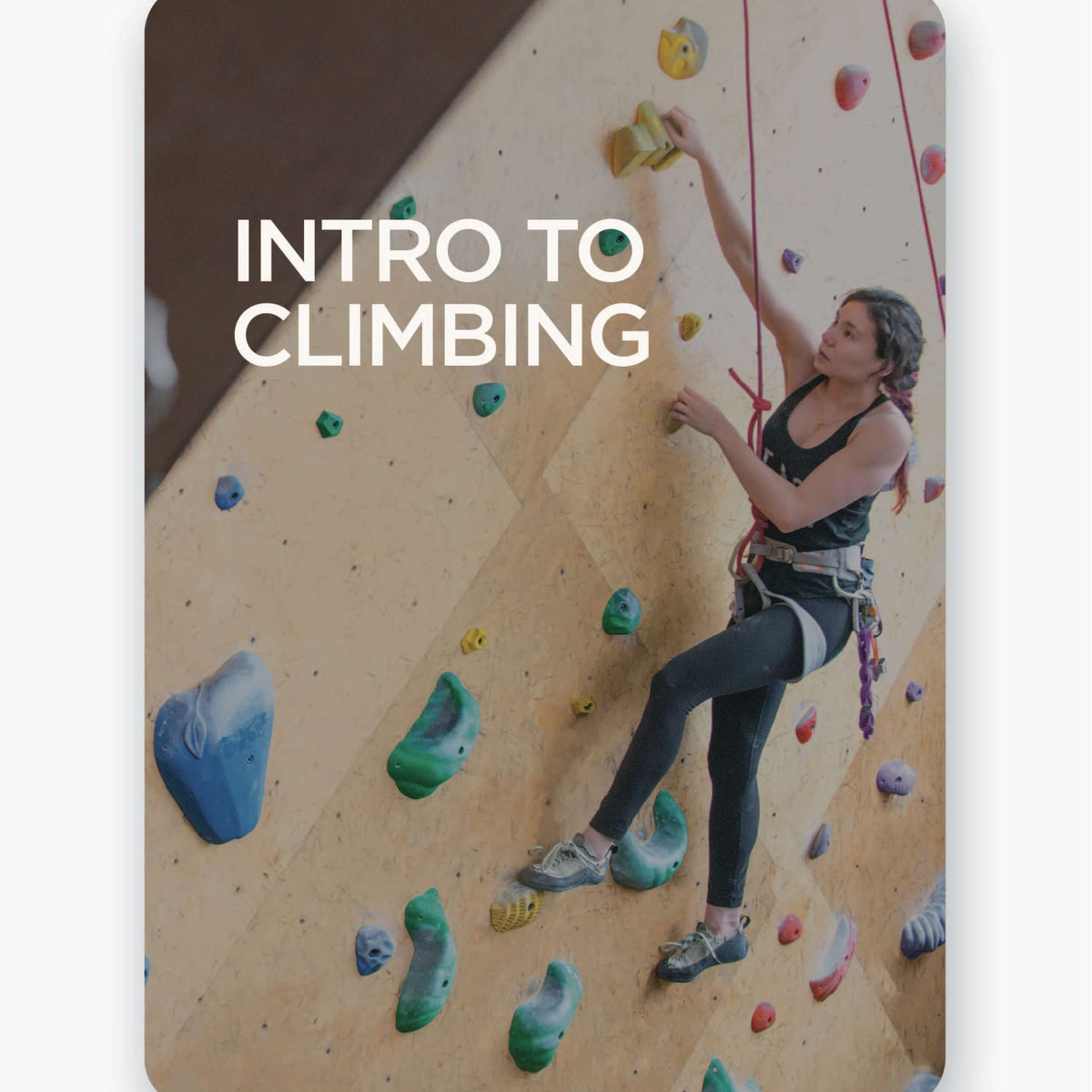 Sport Climbing 101: The Complete Beginner's Guide - 99Boulders